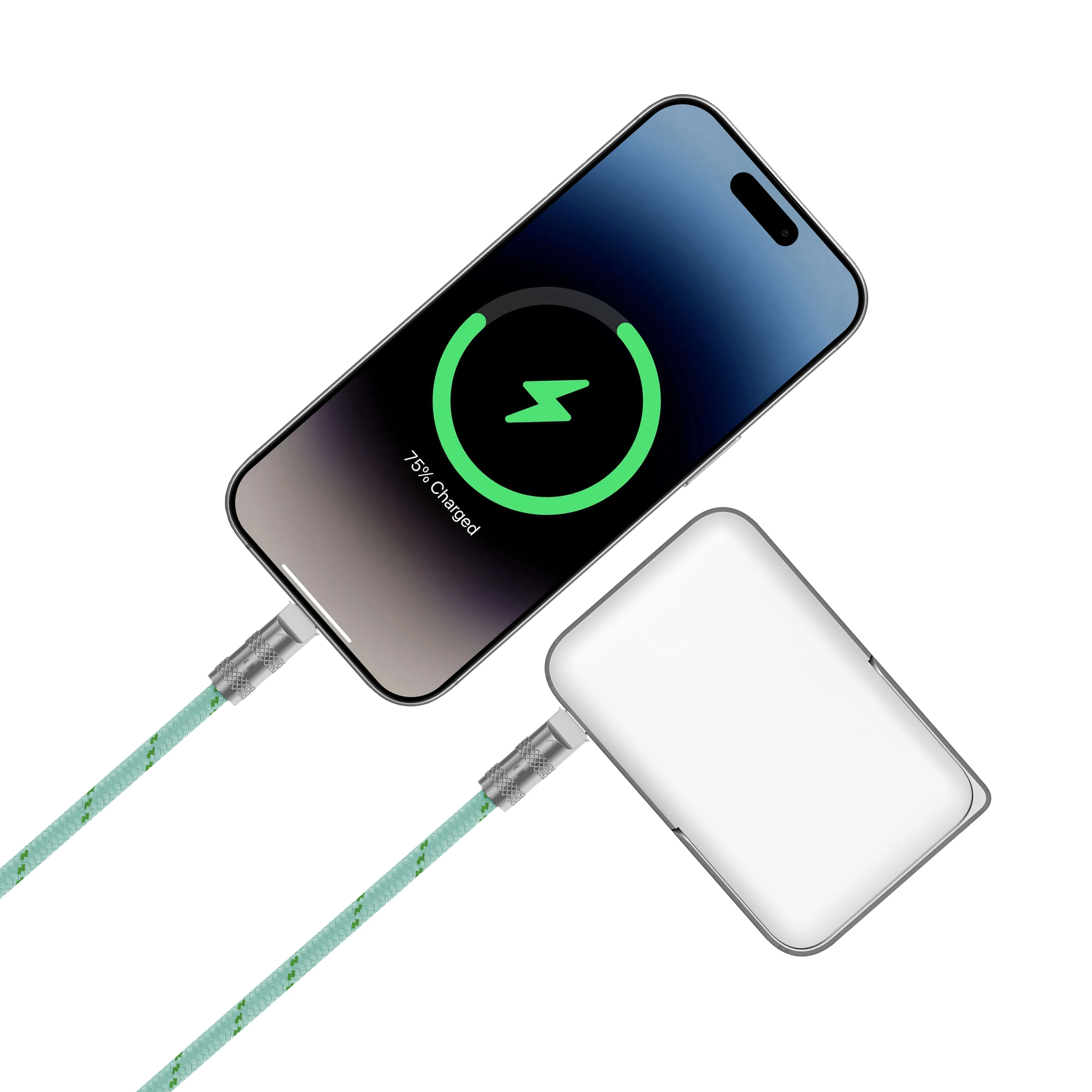 ZIZO PowerVault Link+ Lanyard USB-C Cable - Mint - Image 4